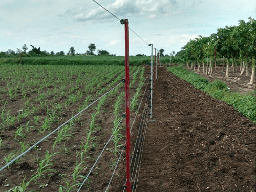 Solar Fencing